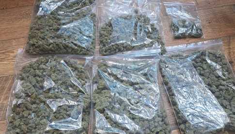 Dzierżoniowscy policjanci po raz kolejny zabezpieczyli znaczną ilość marihuany