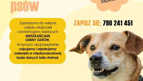 Rusza akcja bezpłatnego czipowania psów [SZCZEGÓŁY]