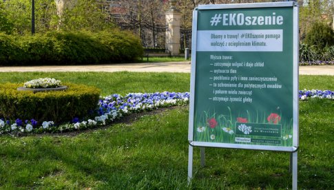 #EKOszenie we Wrocławiu: Miasto ekologicznie kosi trawniki