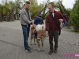 Majówka z SLD w Bielawie