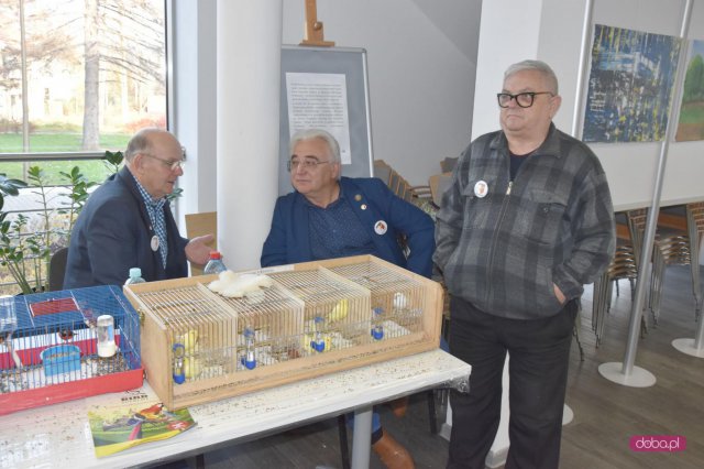 Wystawa kanarków i ptaków egzotycznych w Pieszycach