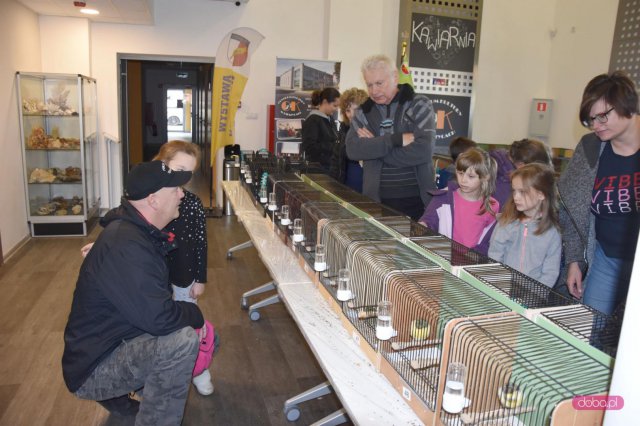 Wystawa kanarków i ptaków egzotycznych w Pieszycach