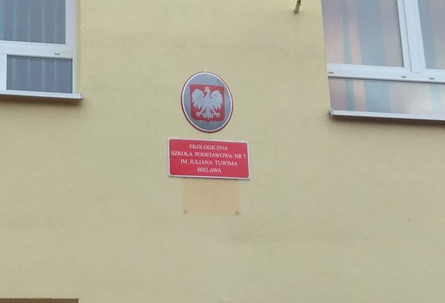 Wycinka drzew przy szkole podstawowej w Bielawie 