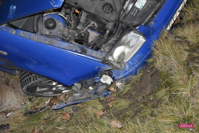 Kierująca volkswagenem wypadła z drogi w powiecie dzierżoniowskim