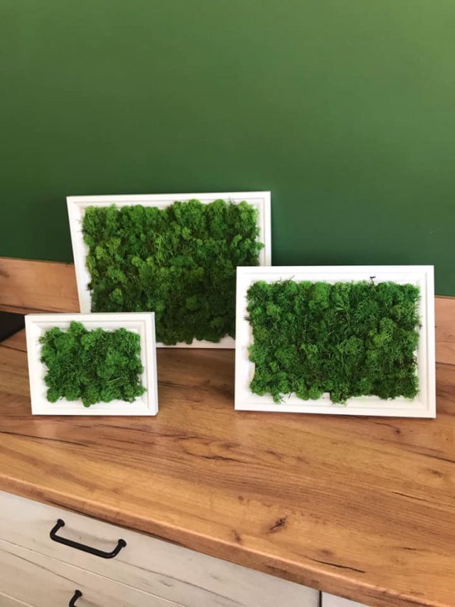 Pracownia Florystyczna Esy Floresy