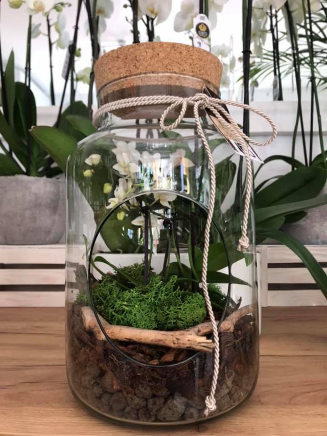 Pracownia Florystyczna Esy Floresy