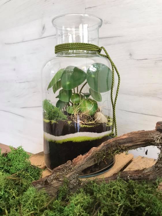 Pracownia Florystyczna Esy Floresy
