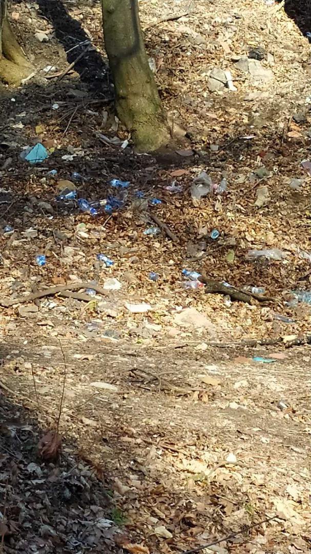 Wyrzucają śmieci w lesie w Rościszowie