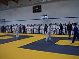 Łagiewniki: Mistrzostwa Dolnego Śląska w Judo
