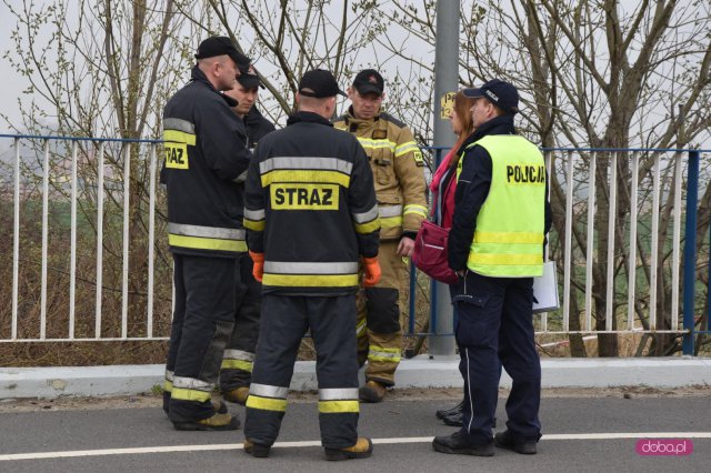 Zwłoki przy drodze Dzierżoniów-  Pieszyce