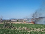Duży pożar traw i krzewów w Bielawie
