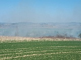 Duży pożar traw i krzewów w Bielawie