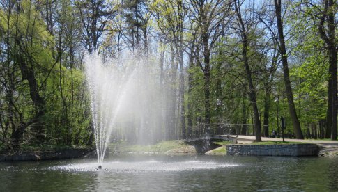 Modernizacja stawu wodnego w bielawskim Parku Miejskim 