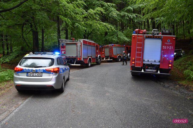 Zderzenie dwóch pojazdów na trasie Jodłownik - Wolibórz