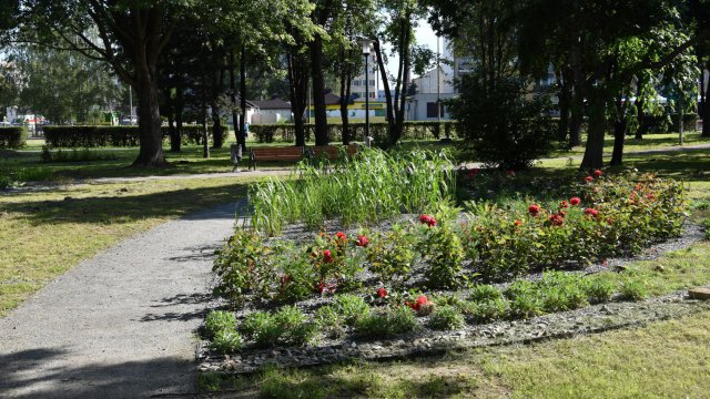 Dzierżoniów: Jak zmienia się park im. Janusza Kusocińskiego