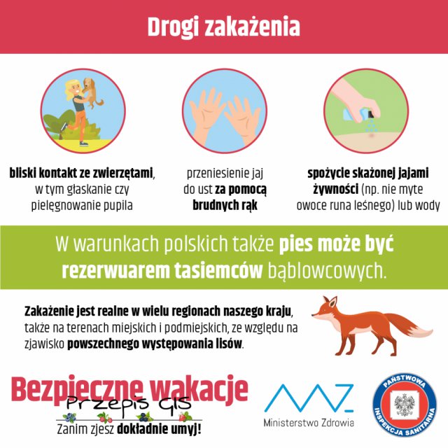 Uwaga! Bąblownica!