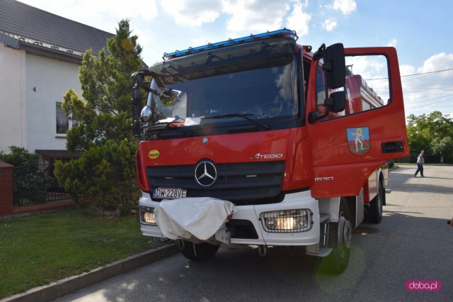 Strażacy zostali wezwani do usunięcia żmii w Pieszycach