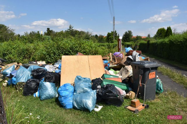 Problem z wysypiskiem śmieci na POD Panorama w Dzierżoniowie