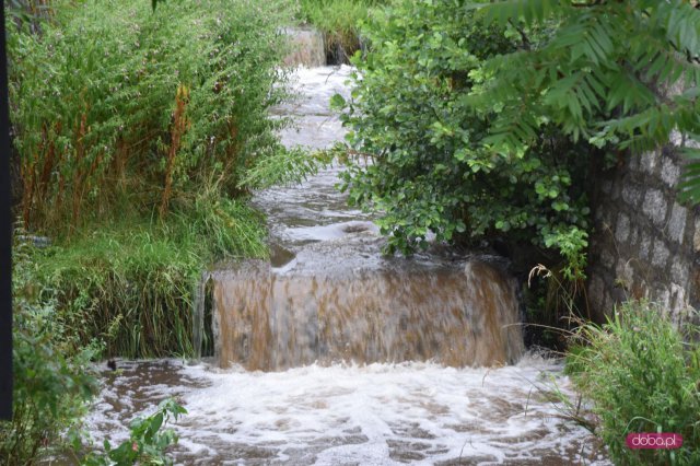 Coraz więcej wody w rzekach w Dzierżoniowie, Bielawie i Pieszycach