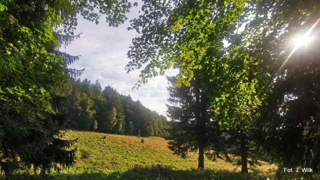 Po drogach i bezdrożach Gór Sowich - zdjęcia Jana Wilka