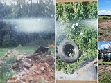 Bielawski dzielnicowy ustalił osobę zaśmiecającą teren tuż przy lesie