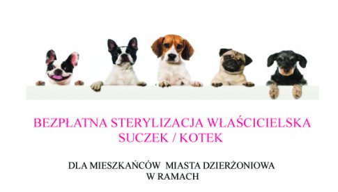 Plakat dotyczący sterylizacji zwierząt