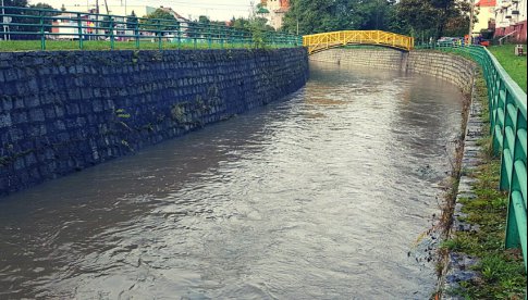 Obniża się stan wód w rzekach w Powiecie Dzierżoniowskim