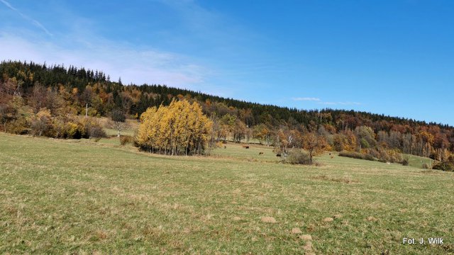 Kolorowa jesień w Górach Sowich