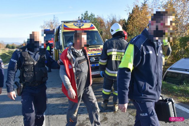 Pijany kierowca wypadł z drogi Pieszyce - Rościszów