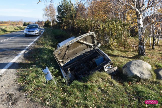 Pijany kierowca wypadł z drogi Pieszyce - Rościszów
