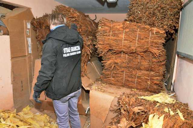 Straż Graniczna zatrzymała tytoń oraz krajalnice warte ponad 760 tysięcy złotych