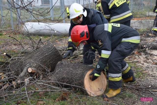 Powalone drzewo zablokowało drogę w dolnych Pieszycach