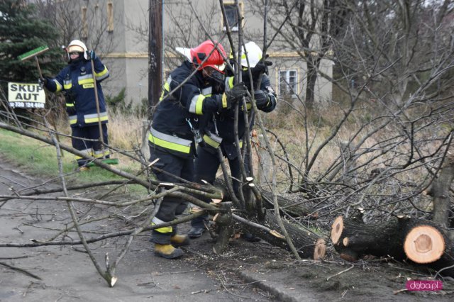 Powalone drzewo zablokowało drogę w dolnych Pieszycach