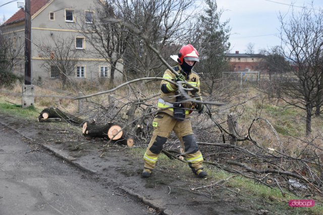 Powalone drzewo zablokowało drogę w dolnych Pieszycach