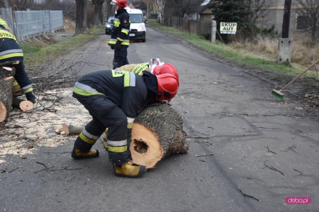 Powalone drzewo zablokowało drogę w dolnych Pieszycach