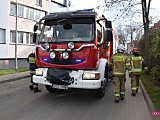Konar uszkodził pojazd w Bielawie