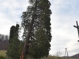 Straż pożarna na cmentarzu w Kamionkach