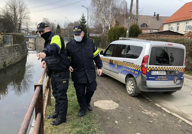 zabrudzenie rzeki Piława