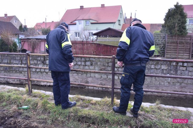 zabrudzenie rzeki Piława