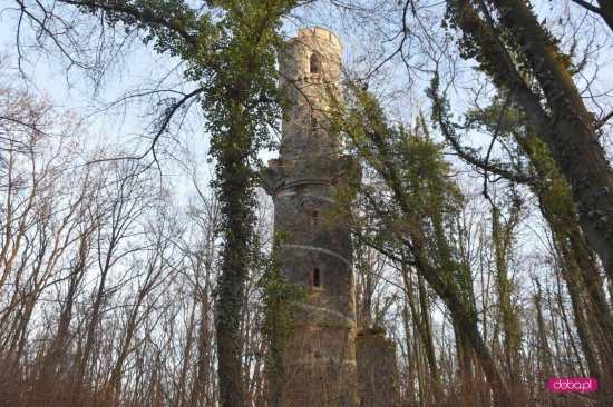 Wieża Bismarcka w gminie Łagiewniki