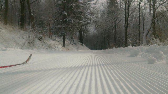 Trasy narciarstwa biegowego zapraszają