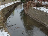 Wyczyszczono koryto potoku w Łagiewnikach