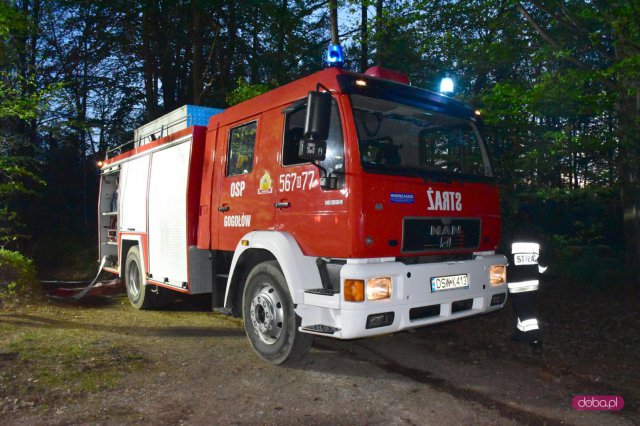 Pożar lasu na Radunii