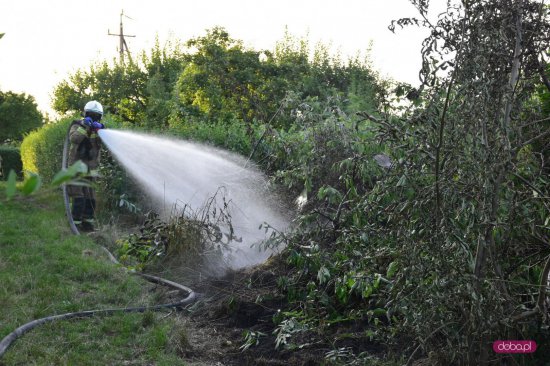 Straż pożarna na ogródkach działkowych w Bielawie