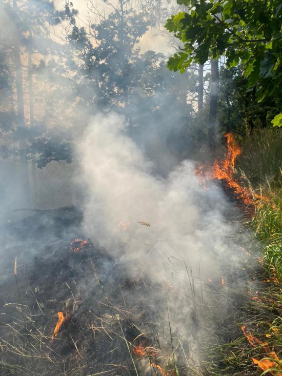 Pożar lasu na Górze Radunia 