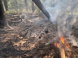 Pożar lasu na Górze Radunia 