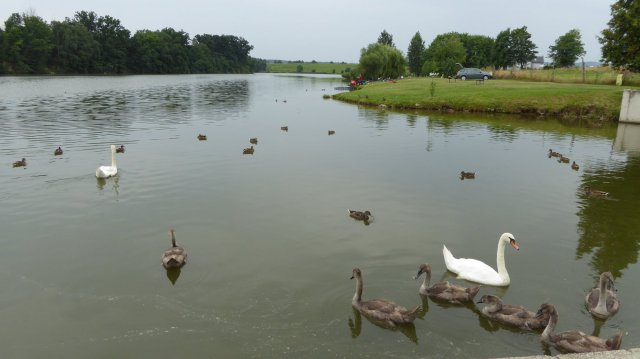 Towarzyskie Spławikowo-Gruntowe Zawody Wędkarskie