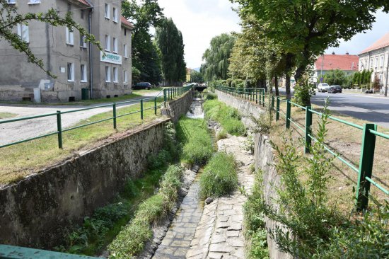 Obie części Bielawy różniły się od siebie niemal wszystkim - nawet dialektem