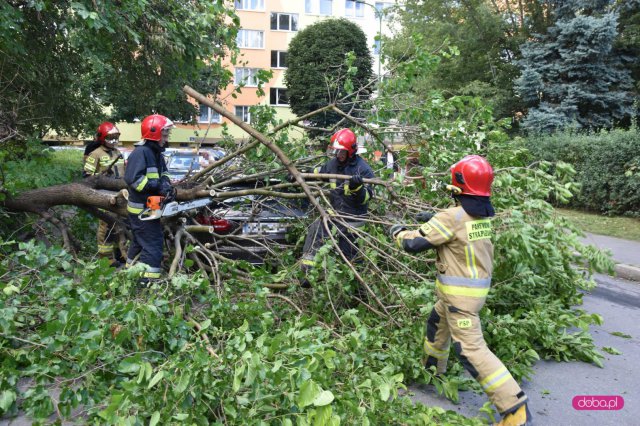 Drzewo spadło na mercedesa