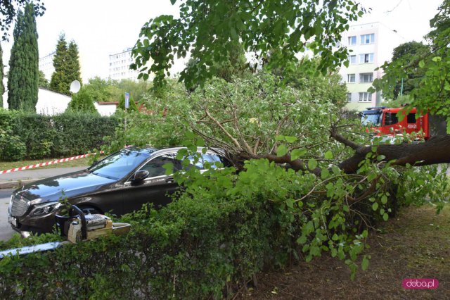 Drzewo spadło na mercedesa